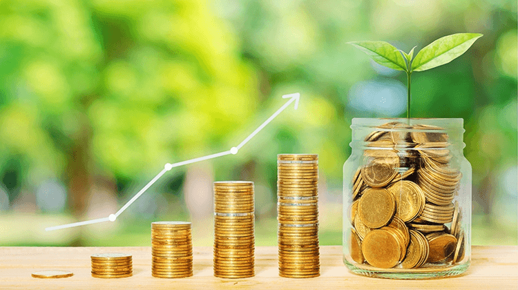Angel Investment